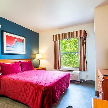 Sierra Vista Studio Apartment With Full Kitchen And King Bed Eksteriør billede
